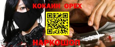 амф Донской