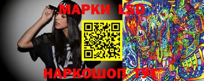 амф Донской