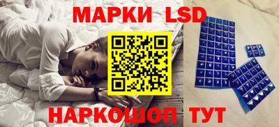 амф Донской