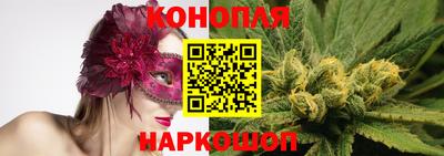 амф Донской