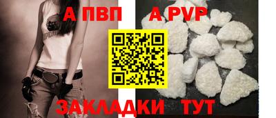 амф Донской