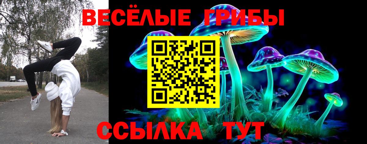 купить  сайты  Псилоцибиновые грибы прущие грибы  Лосино-Петровский  Вход с VPN  Галлюциногенные грибы мухоморы 
