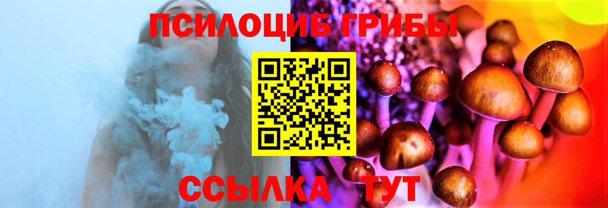 Галлюциногенные грибы Cubensis Лосино-Петровский